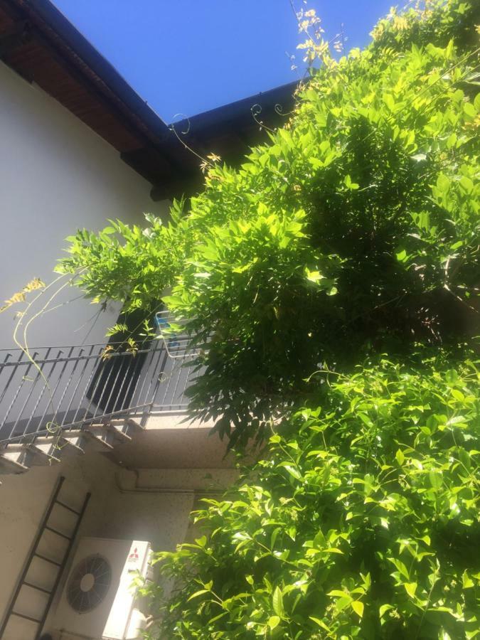 Delizioso Appartamento In Corte Vittuone Εξωτερικό φωτογραφία